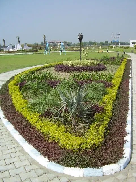 Colourful landscaped flower and foliage bed