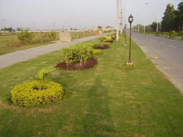 Summer flowering plants in beds along a lawn